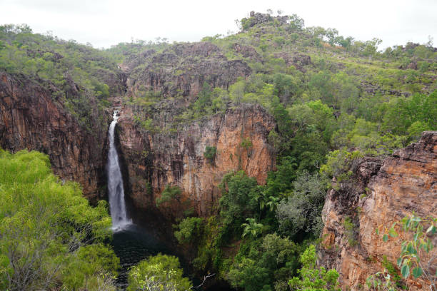litchfield national park tours from darwin
