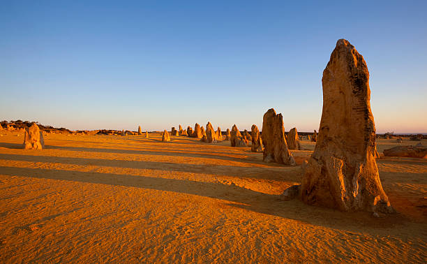 Nambung National Park Review: Exploring the Pinnacles and More