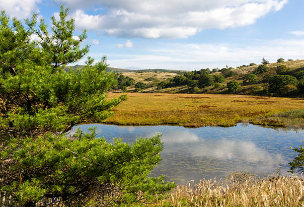 Cleland Conservation Park Review: Unveiling the Truth About this Australian Wildlife Attraction