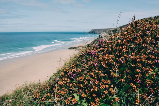 Byron Bay Review: Exploring Australia’s Coastal Gem – A Disappointing Experience