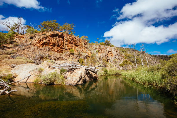 how far is the drive from darwin to litchfield