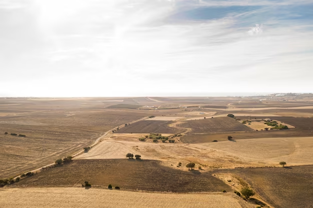 Barossa Valley Review: Exploring the Unseen Side of Australia’s Wine Paradise
