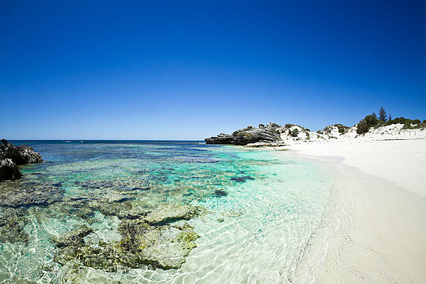 Rottnest Island Review: Exploring the Wonders and Challenges of this Australian Gem