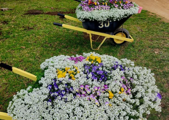 Discover the Beauty of Hunter Valley Gardens: A Must-Visit