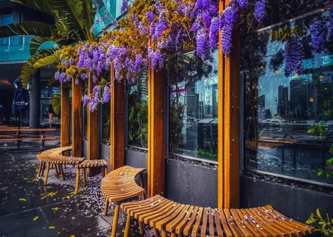 Melbourne Weather Guide: What to Expect Year-Round