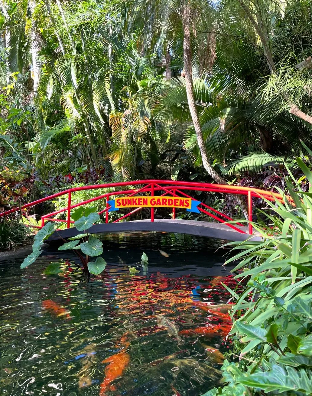The Sunken Garden