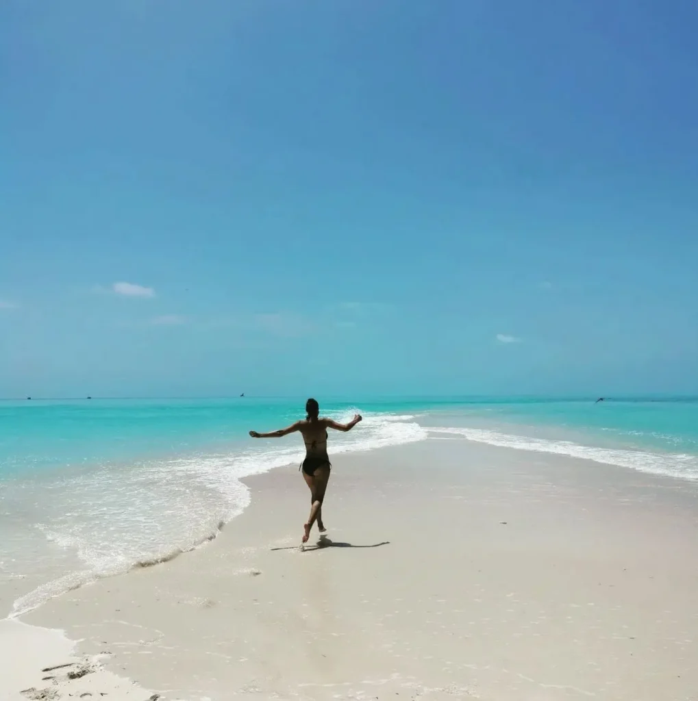 The Tropical Waters, Timor Sea