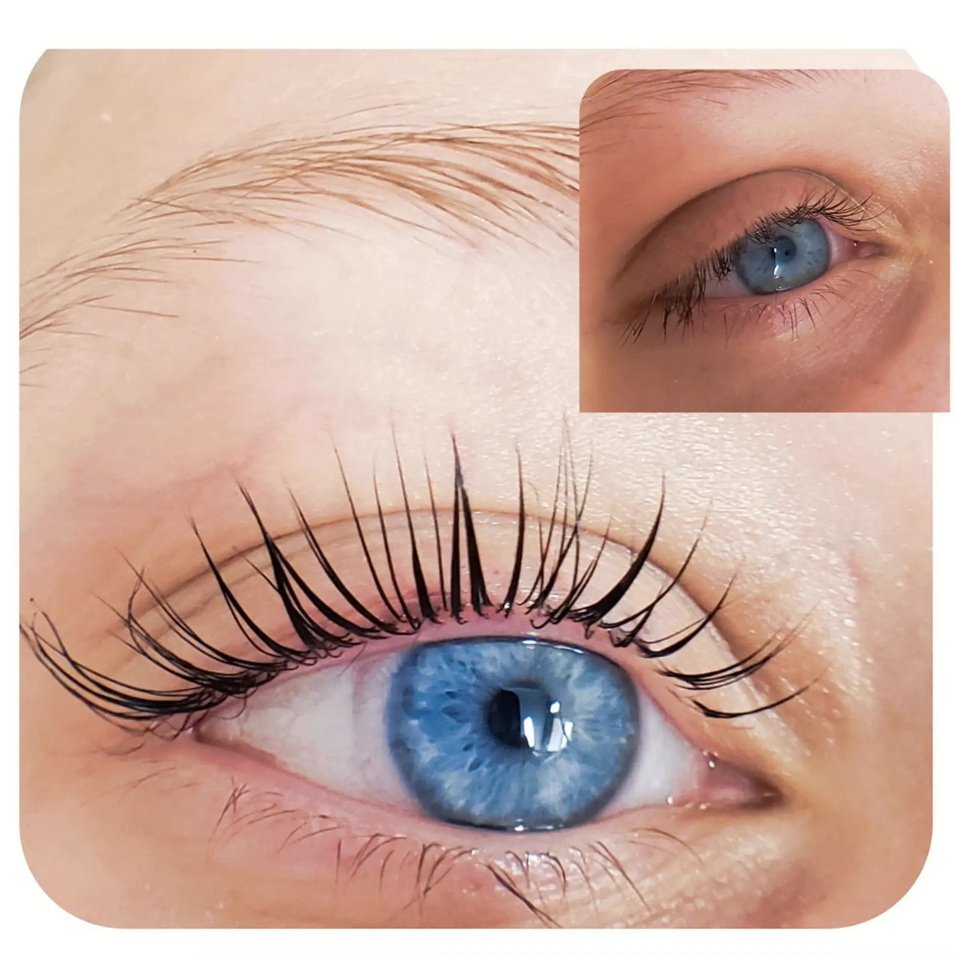 lash lift Brisbane