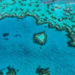 Where Is the Best Place to Fly Over the Great Barrier Reef