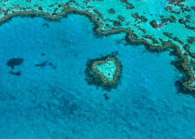 Where Is the Best Place to Fly Over the Great Barrier Reef?