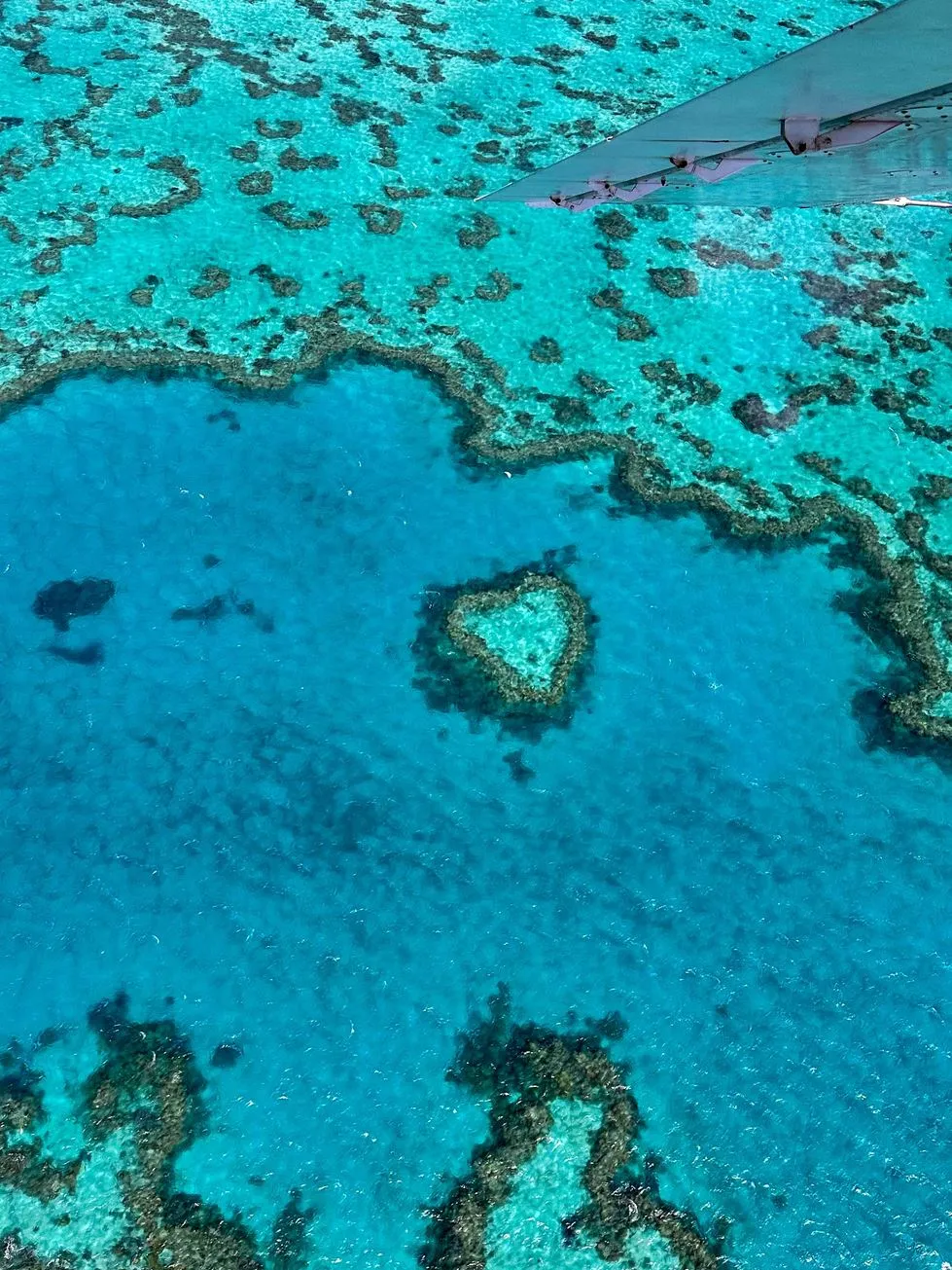 Where Is the Best Place to Fly Over the Great Barrier Reef?